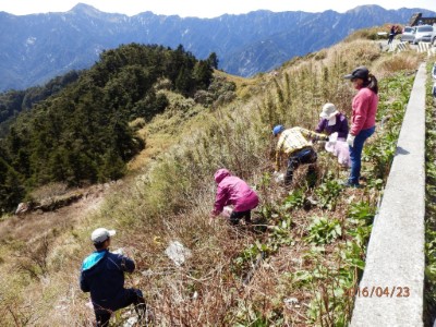 東勢林區管理處每年與相關單位辦理合歡山春季聯合淨山活動-呼籲民眾走入山林 垃圾帶下山 共同愛護地球    歷史活動照片   歷史活動照片